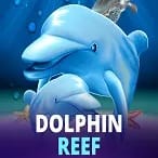 Dolphin Reef